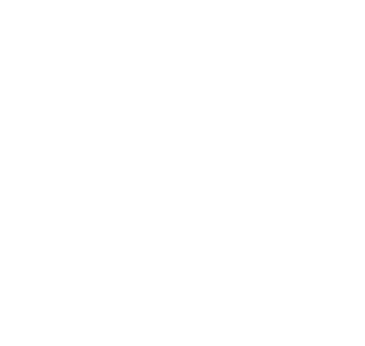 heavy studio web agency autry action shoes