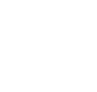heavy studio web agency bonsai clothing